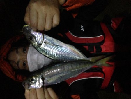 24cm~26cmのアジがHIT！！